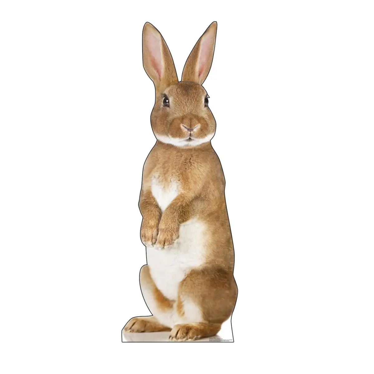 212 MAIN Single-Side Large Bunny Rabbit Cardboard Cutout Photo Stand-Up with Stand-Up Easel, 72x26 in, Advanced Printing Home Decor Prop for Parties