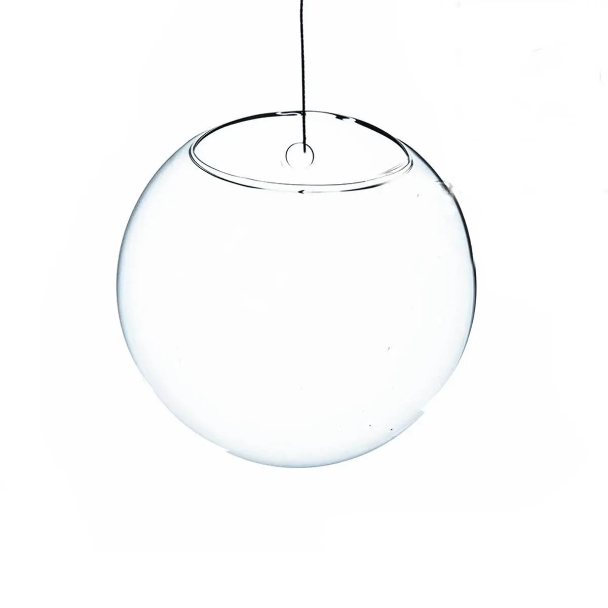 Athenas Garden HCH1106 6 in. Dia. Clear Half-Round Wall Hanging Terrarium & Vase