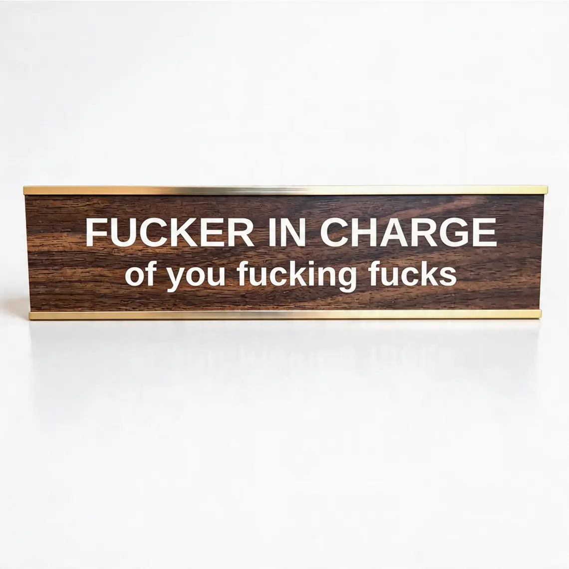 F'ER IN CHARGE OF YOU F'ING F'S DESK SIGN – Funny Office Gift