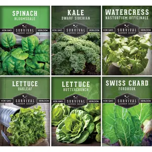 Hydroponic Vegetable Seed Collection - Includes Spinach, Kale, Watercress, Lettuce, Buttercrunch & Swiss Chard for Herbal Non-GMO Seed Collection