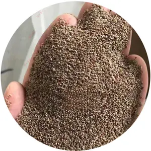 Fast Growing Grass Seed Drought Tolerant for Backyard Lawn Garden Low Maintenance Easy Planting High Germination Rate Secure Packaging