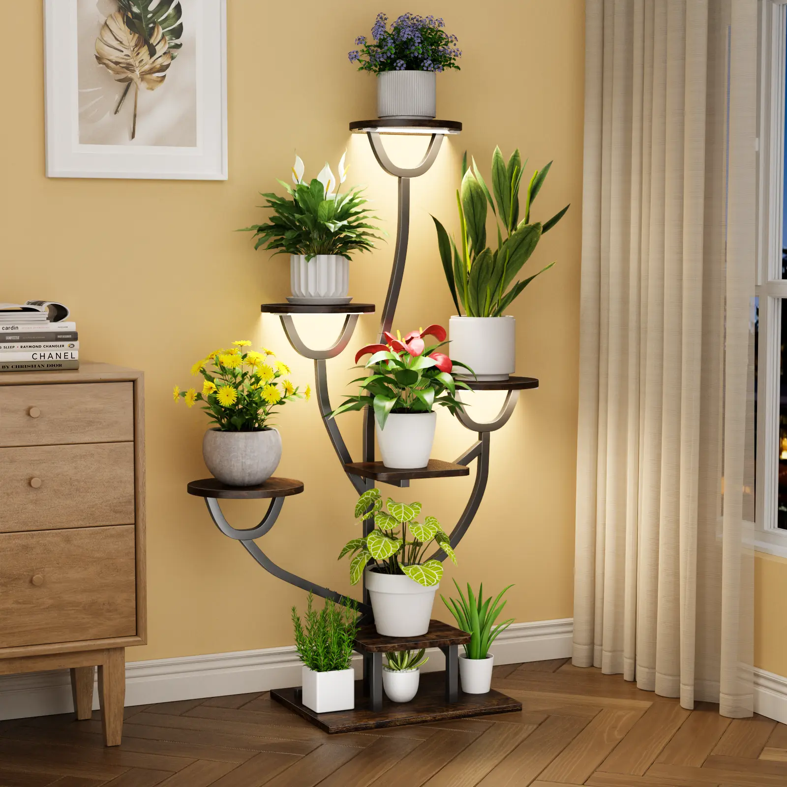 money tree gift Money Tree – Symbolic Easy Care Gift Plant