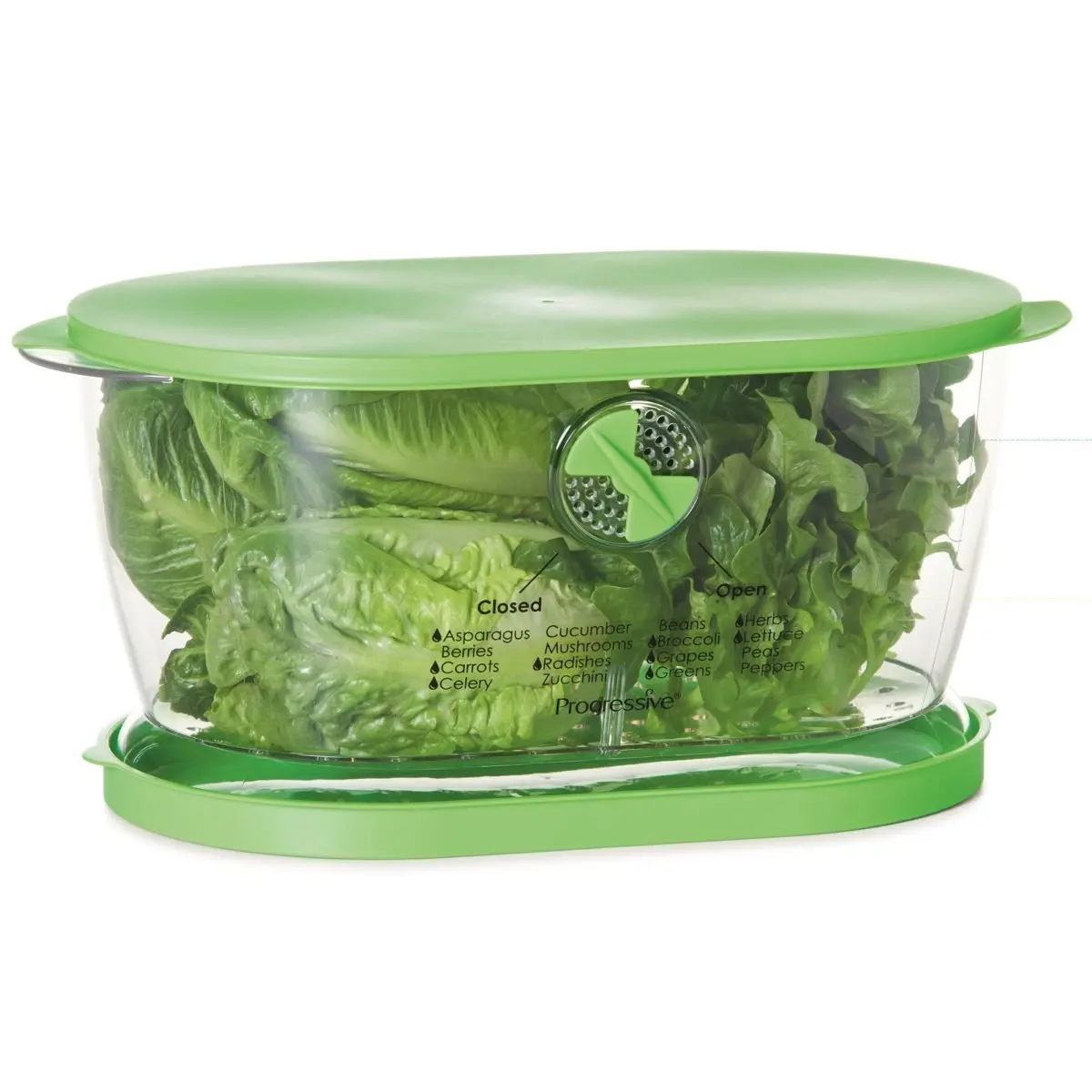 Progressive Lettuce Keeper | 4.7-Quart Containers Kitchen Progressive Lettuce Keeper | 4.7-Quart Containers Kitchen