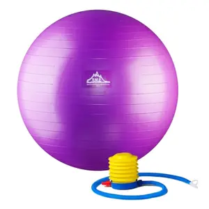 Black Mountain Products  2000 lbs Professional Grade Stability Ball with Pump, Purple - 75 cm