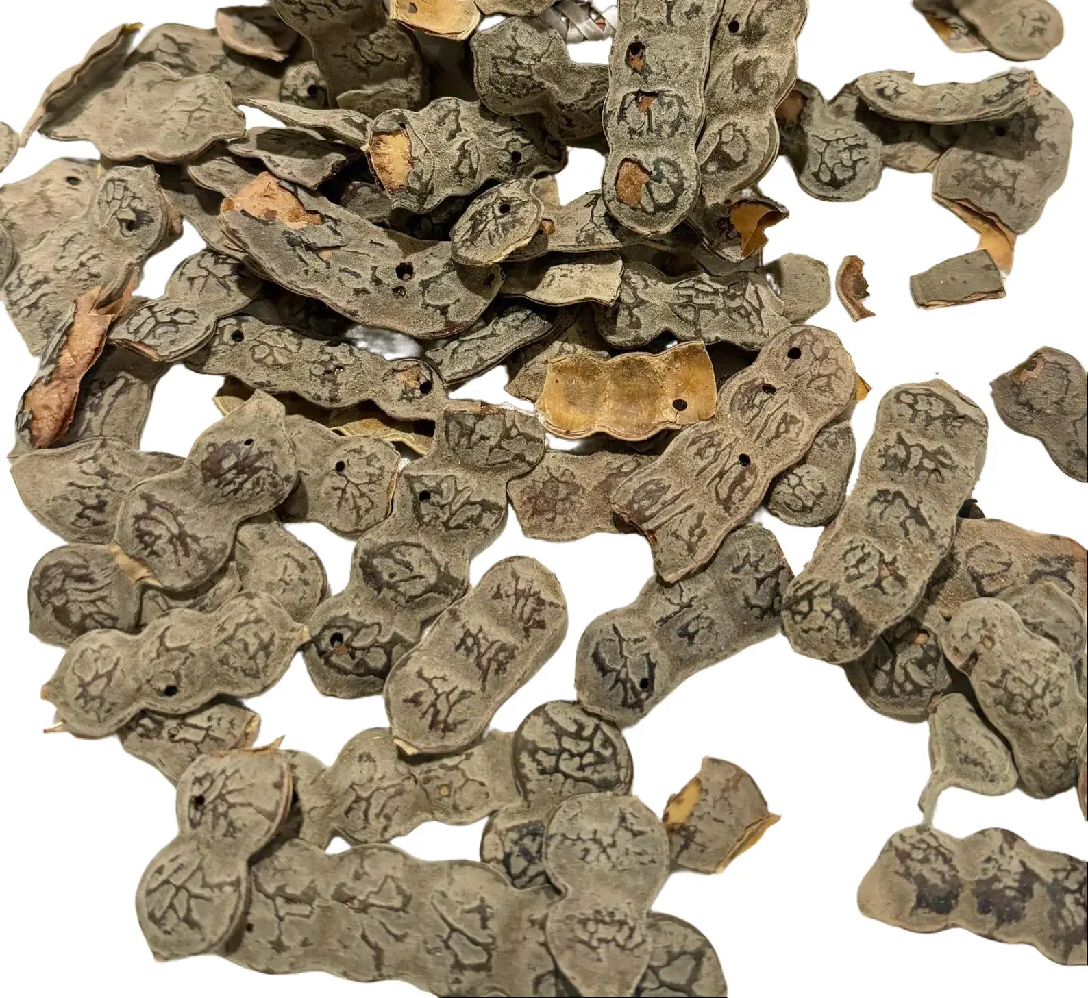 NEP NEP(acacia Nilotica seeds) Dried Natural