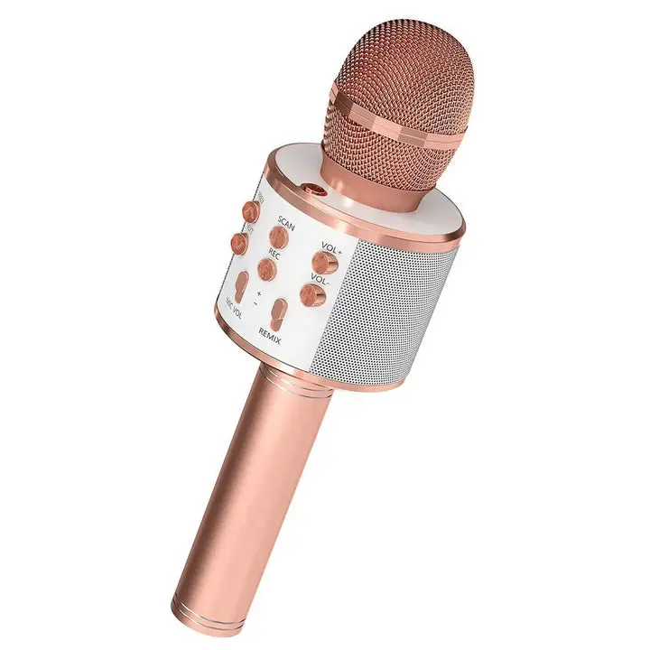 5 Core Microphone Wireless Karaoke Mic With Speaker 3 in 1 Portable Bluetooth Microfono Inalambrico