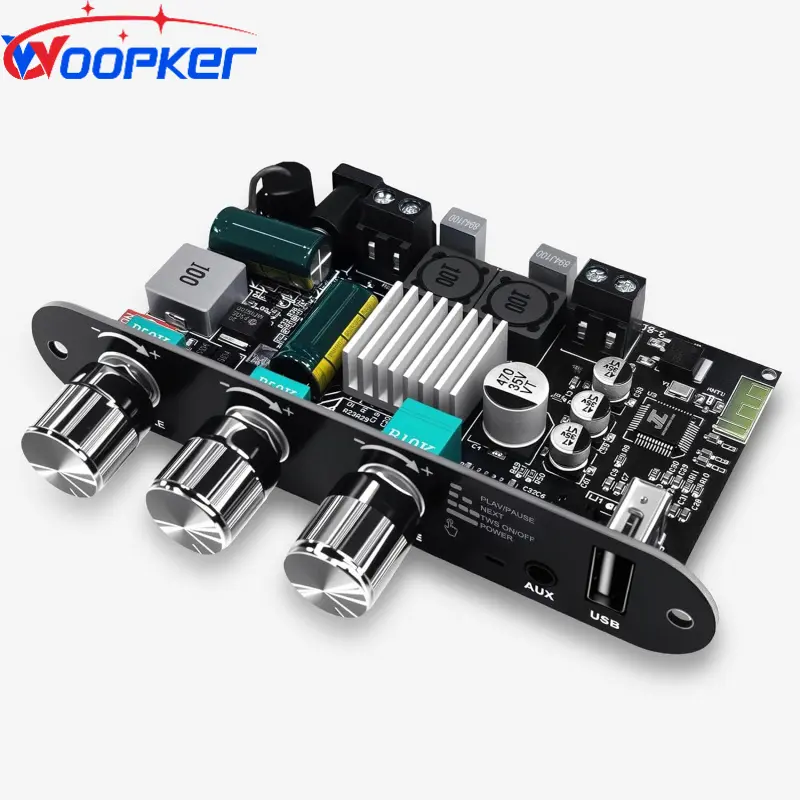 Woopker ZK1001U Mono Bluetooth Audio Amplifier Module - Monoblock Class D External Amplifier with Wireless BT, TWS, USB/AUX Inputs, DC9-24V, Auto Boost for Home Audio Speaker DIY Projects