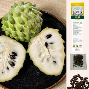 Organic Soursop (Graviola) Seeds – 30pcs Non-GMO Heirloom Tropical Fruit seeds summergarden