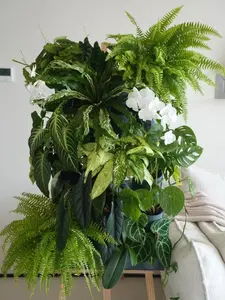 4x6 Stackable Plant Box Stand Set for Organized Storage and Display of Plants and Gardening Supplies