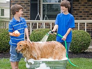 RESTMO Garden Hose Nozzle, Garden Tools , Heavy Duty Metal Water Hose Nozzle with 7 Adjustable Spray Patterns, High Pressure Hand Sprayer with Flow Control for Watering Plants & Lawns, Washing Cars & Pets, Valentines gift