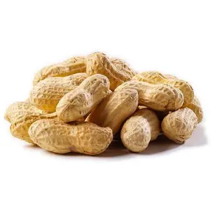 Peanuts In Shell Medium Roast