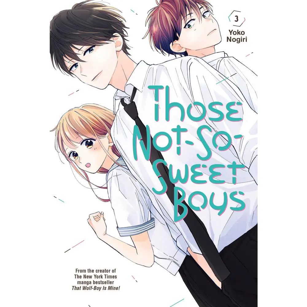 Used Novel - Those Not-So-Sweet Boys 3 by Yoko Nogiri (Paperback, English) - Good, From That Wolf-Boy Is Mine!