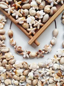 60Pcs 4-Style Mixed Sea Shell Beads, Bead Assortment, Bohemian Vacation Style Fade-Resistant Acrylic Beads with Realistic Shapes, Perfect for Vacation & Daily Wear, DIY Jewelry Making