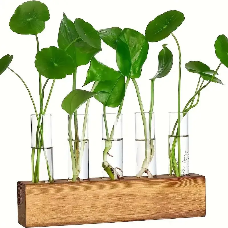 Hydroponic Plant Vase, 1 Set Wooden Stand & Glass Test Tube Vase, Hydroponic Flower Pot, Gardening Gift for Plant Lovers, Hydroponic Planters