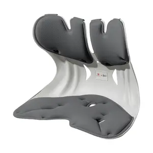 Ergonomic Lumbar Support Pillow for Chair - BKT Back Support Cushion for Office Chair, Car Seat, Wheelchair - Large Size, Shadow Grey