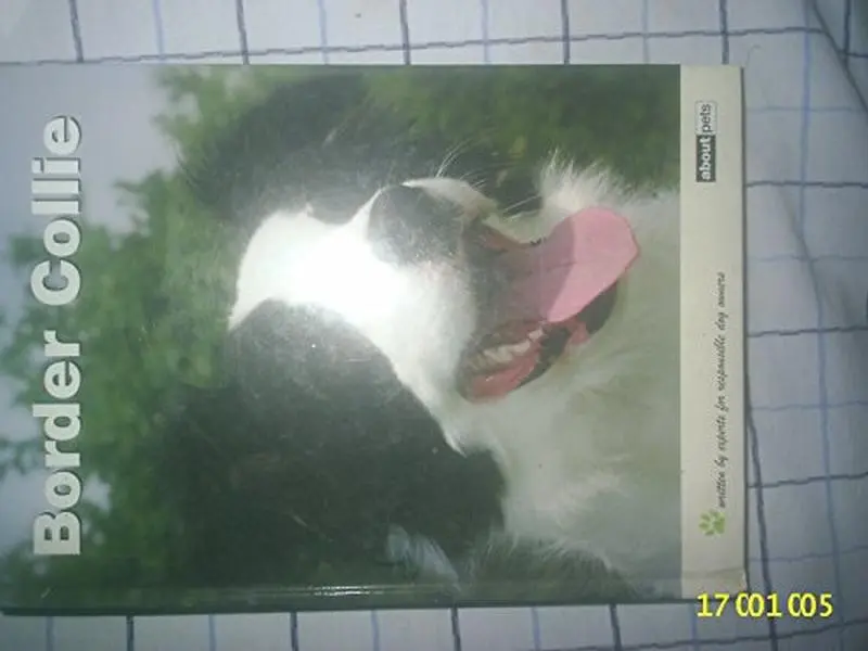 USED-The Border Collie : A Guide to Selection, Care, Nutrition, Upbringing, Training, Health, Breeding, Sports and Play (Hardcover)