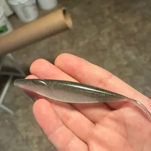 4.8in Green shad winged minnow . Build to roll and flash in the water to attract bass.