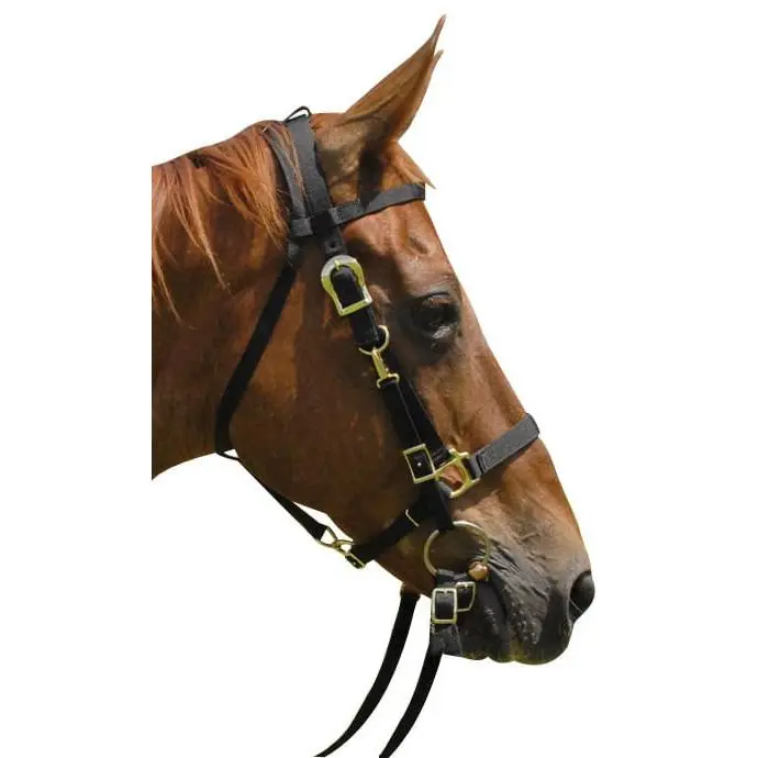 Nylon Combination Horse Halter Bridle with Reins – Jeffers Tack