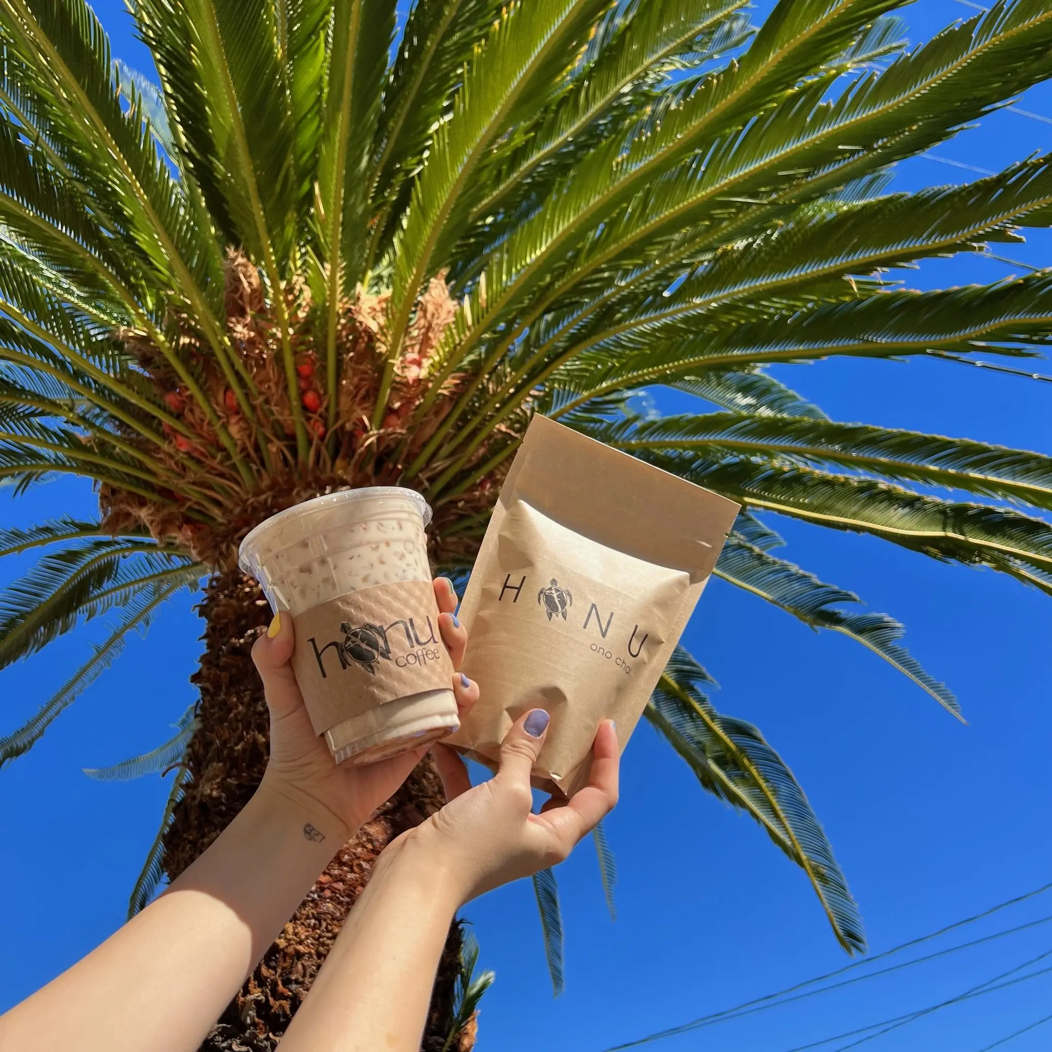 Premium Chai Tea Latte Mix | 11 Iced Chai Lattes | Honu Chai | Honu Coffee Beverage Mixed