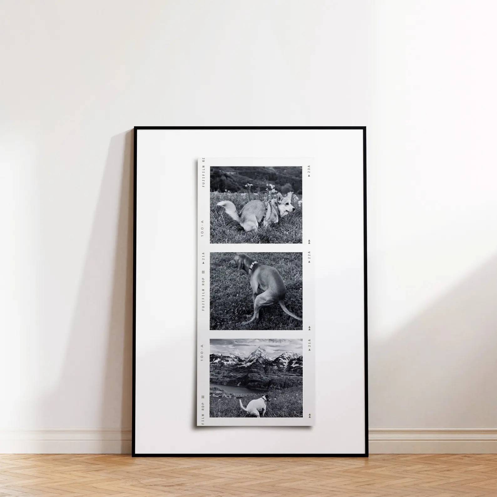 Quirky Dog Pooping Bathroom Print Polaroid Photo Collage Wall Art Customizable Canva Template