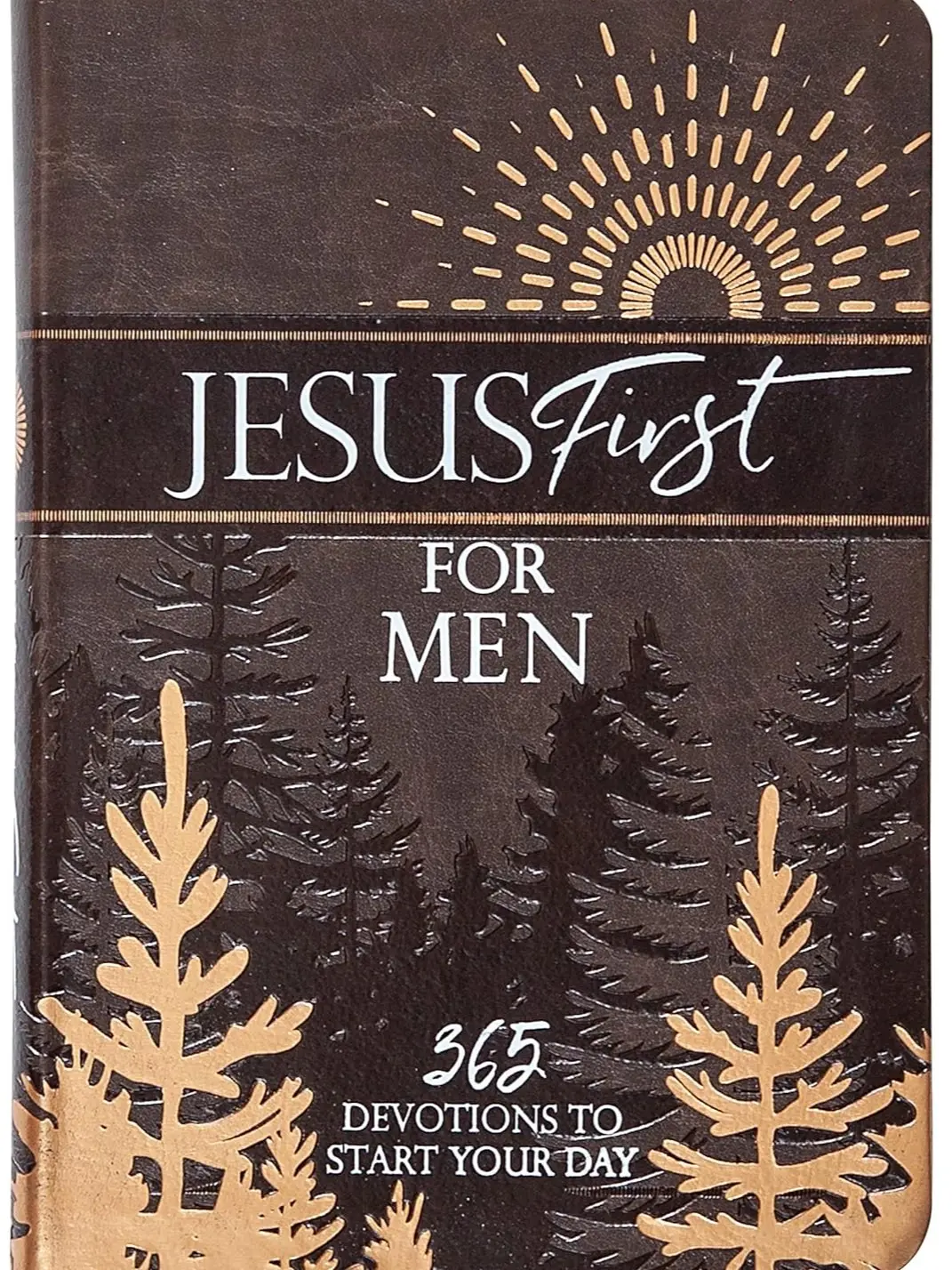 Jesus First Daily Devotional Journal - Devotional Notebook with Imitation Leather Cover, 365 Morning Devotions, Metallic & Matte Foil, Satin Ribbon Marker, Sturdy Smyth-Sewn Binding, Religion Book for Spiritual Growth (Published 5/2/2023)