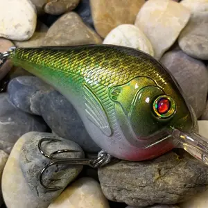 Mayhem Fishing DT10 Style Rattling Custom Paint Crankbait (Bass Beans)