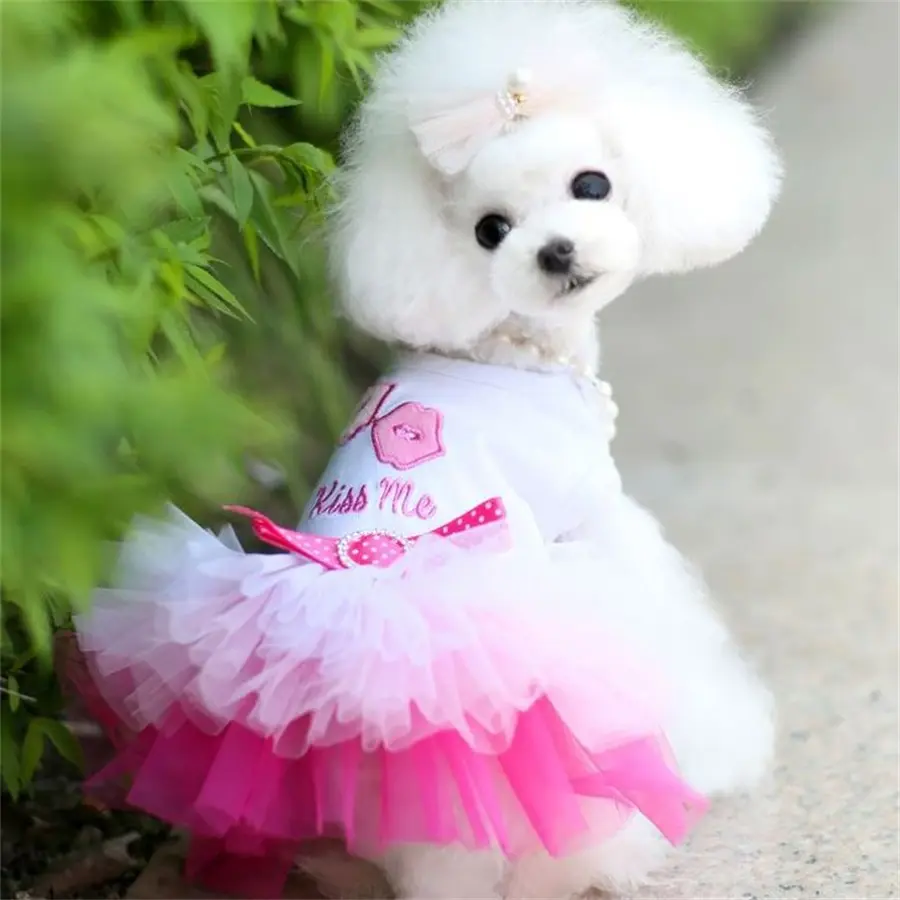 Spring Dog Lace Dress Pet Dog Clothes For Small Dog Cute Poodle Party Birthday Wedding Dress Puppy Costume Pet Clothes Outfits