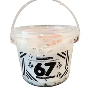 67 Why Not Slime - 10 oz Bucket - Gift