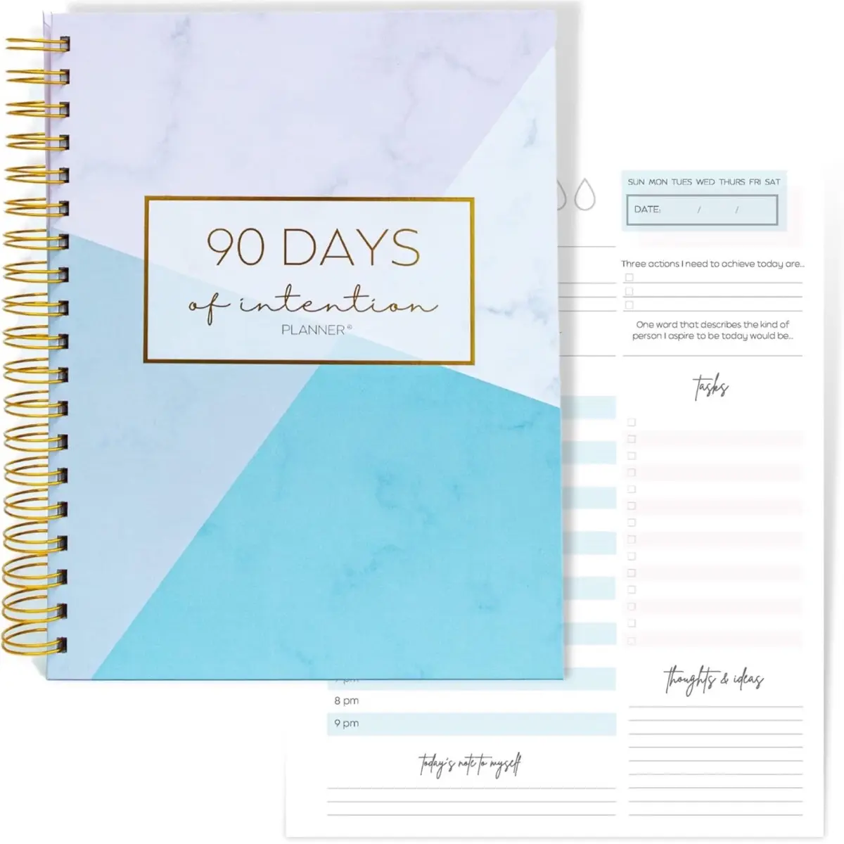 90 Day Boss Up Girl planner Special Edition