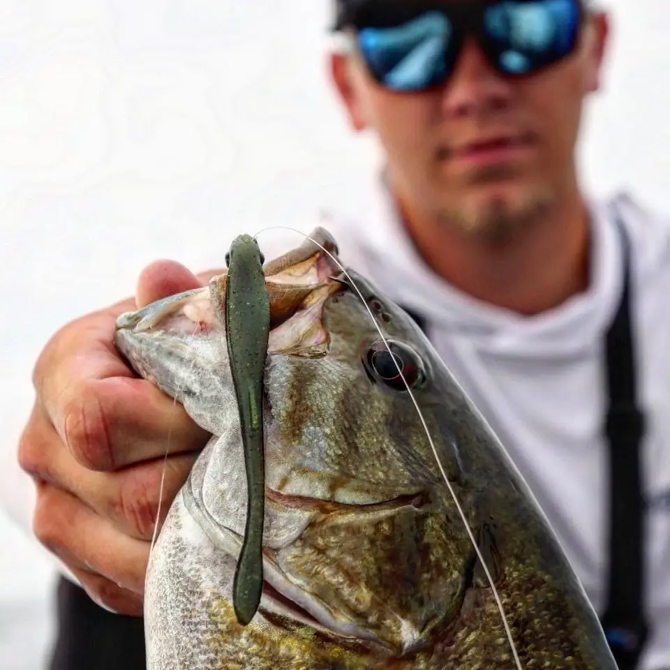 Glitch 3.8 Glitch 3.8