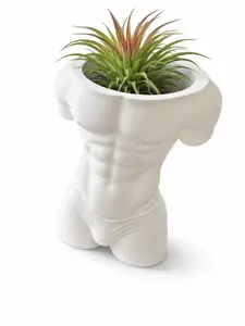 Body Sculpture Planter | 3D Muscle Vase | Indoor Air Plant Pot