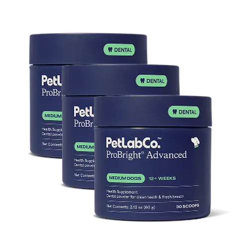 3x ProBright Advanced Dental Powder - Helps Reduce Bad Breath, Clean Teeth and Target Tartar Buildup. Backed by Two Clinical Studies