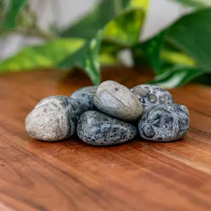 Down to Earth Kambaba Jasper Tumbled 1lb