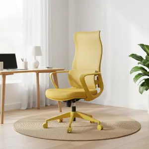 Colourful Ergonomic Mesh Chair – 500 lb