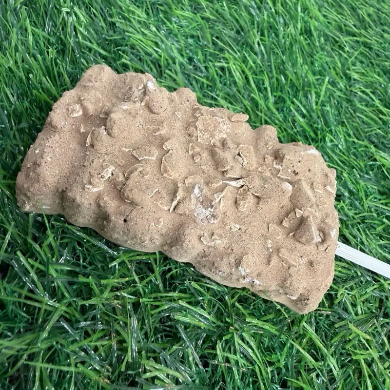 Paleta de terron capuchino , amanecer y caolin coco
