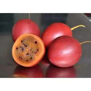 Tree tomato Seeds ,Tamarillo Fruit , Perennial