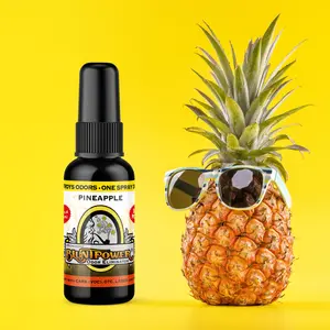 Pineapple Long Lasting Air Freshener Spray
