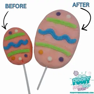 Freeze Dried Easter Egg Marshmallow