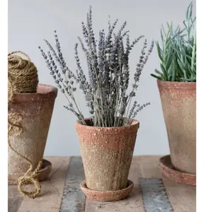 Small 5-1/4" Distressed Cement Planter with Saucer