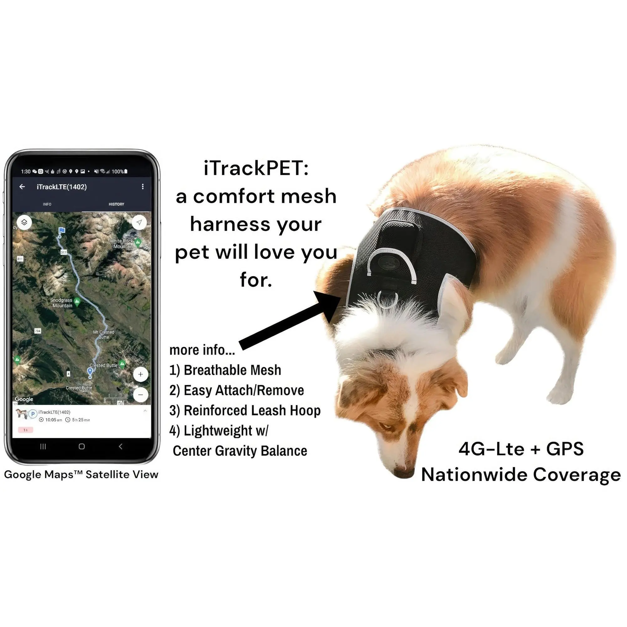 High Quality GSM GPS Cat Dog Tracker Collar Mini Pet Tracking Device Size:M