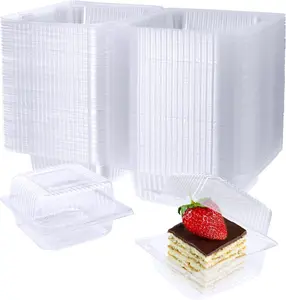 Summer Gift  100 Pack Clear Plastic Square Hinged Food Container, Disposable Plastic To Go Containers with Clear Lids for Cake, Pastry, Salad & Dessert