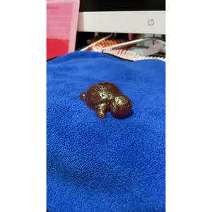 Galaxy brown turtle
