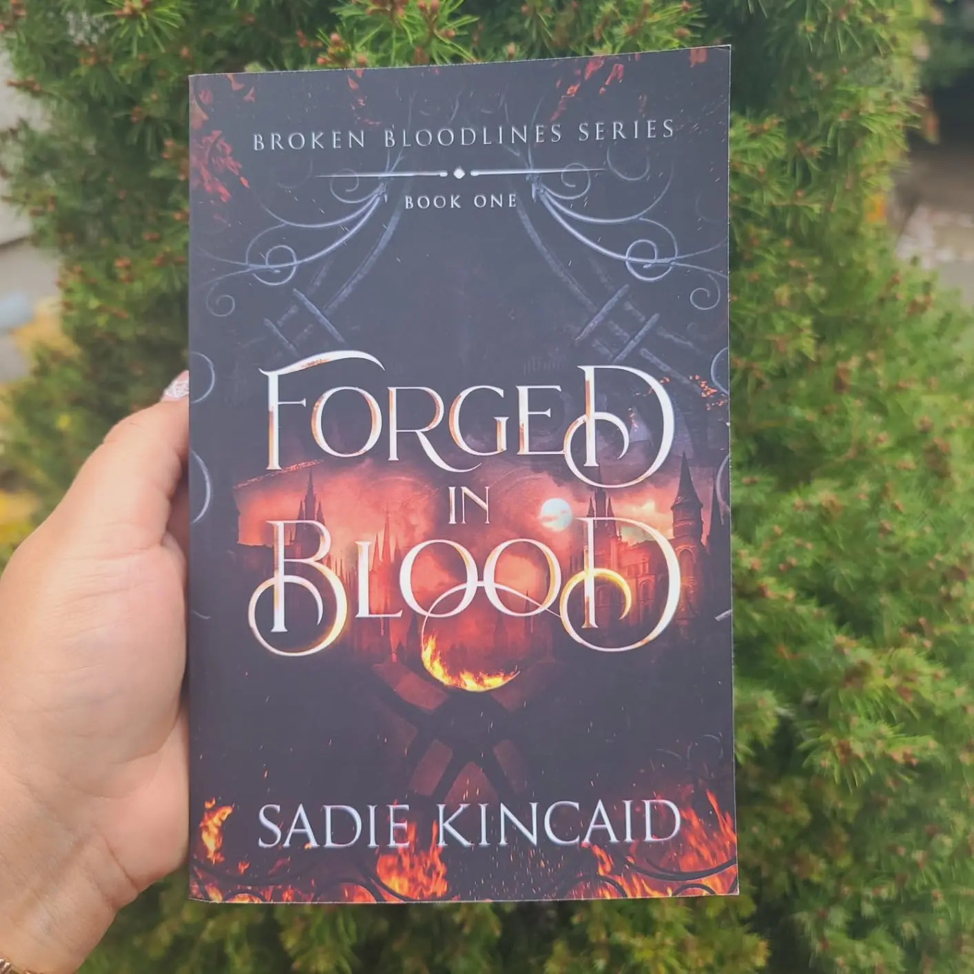 Forged in Blood: A Dark Paranormal-Fantasy Romance Novel with Witches, Vampires, Mystery, Intrigue & Prophecies (Broken Bloodlines Series) Paperback