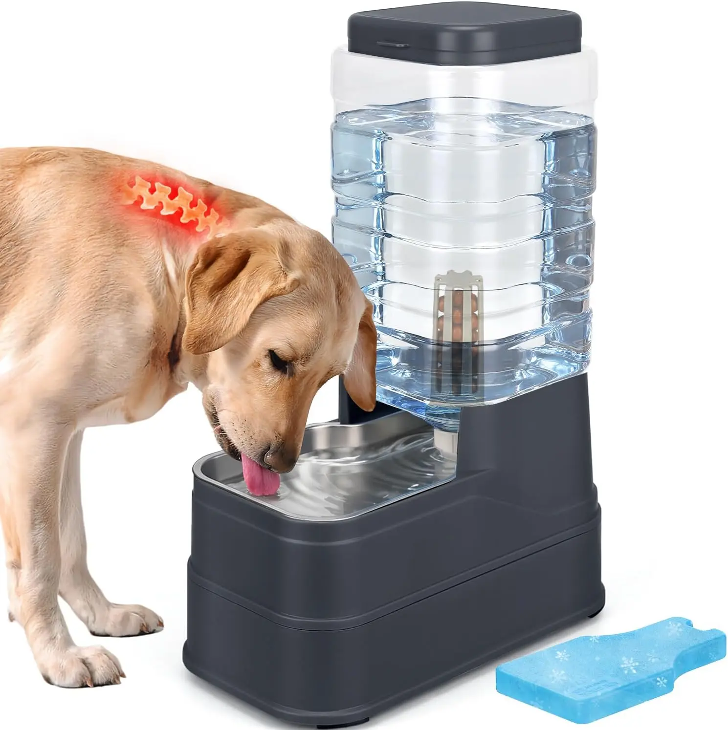 [Summervibes]2.2 Gallon Pet Automatic Dog Water Dispenser Cat Gravity Waterer Feeder with Stainless Steel Bowl 8L Large Capacity Puppy Feeding Raised Bowls with Filter,Ice Pack