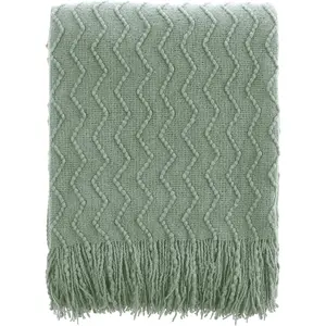 Sage Green Throw Blanket for Couch,  Decor Sage Throw Blankets, Spring Green Blanket for Bedroom Decor Housewarming Gifts, 50"x60"