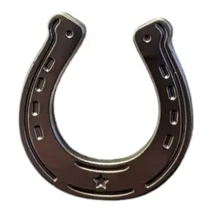 Horseshoe Magnetic Pin