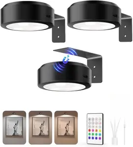 Picture Lights for Wall, 2000mAh Rechargeable Battery Magnetic Poster Lights with 3 Color Temps & 12 RGB, Remote Dimmable Timer Painting Light, Wall Decor Light for Art Display, Frame (3 Pack)