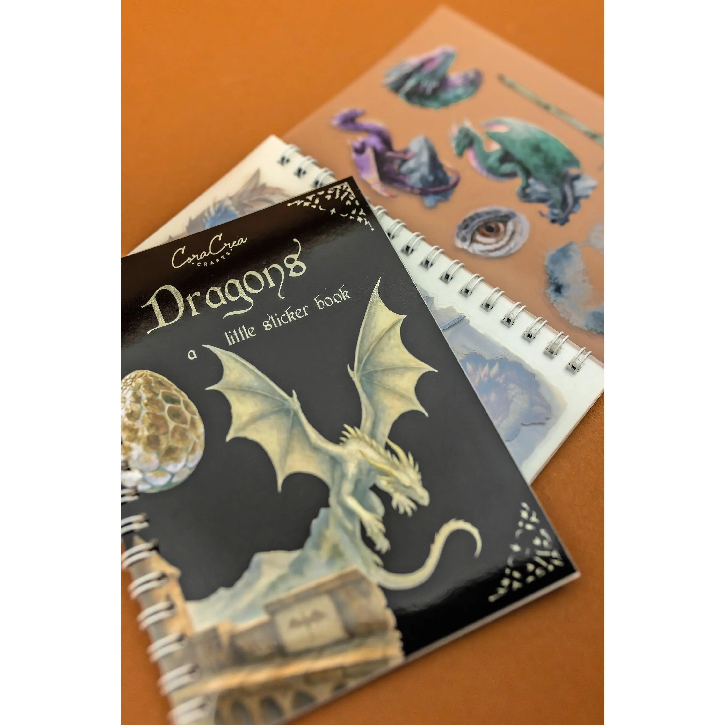 Dragons Sticker Book