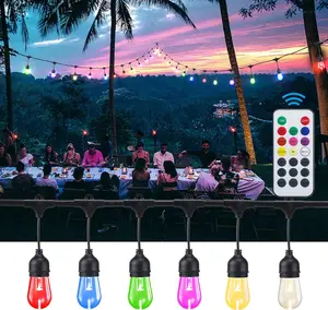 TORCHSTAR® Pro LED Multi-color Outdoor String Light - 50 Feet 15 Lights
