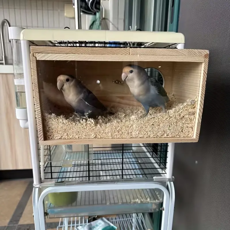 Natural Wood Transparent Viewing Budgie Breeding Box - Hanging Bird House for Outside, Non-Skid Cage Accessory, Pet Supply for Small to Medium Birds, Bird Houses For Outside